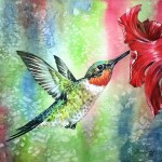 Watercolor Painting of a Male Ruby Throated Hummingbird.
